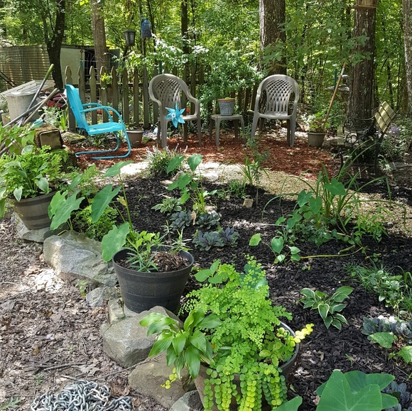 Meet your Posher, Meshell - Picture 1 of 1